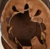 Bavarian Model 1916 Enlisted Jäger Shako Visuel 10